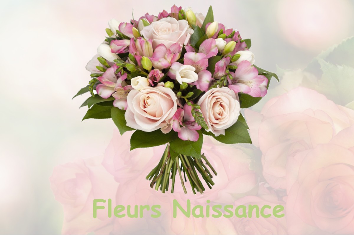 fleurs naissance SAINT-HILAIRE-LA-CROIX